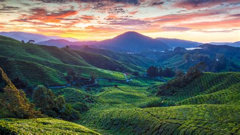 Cameron Highlands view