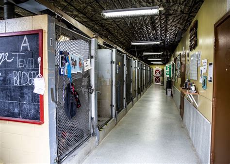 Effective Animal Control Services in Camp Pendleton: Keeping Your Community Safe and Healthy!