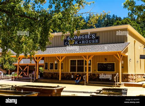 Discover the Ultimate Wilderness Adventure at Camp Wastashi in Felton, CA: Where Nature Meets Fun!