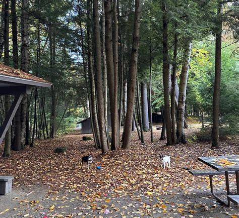 Campgrounds Near Me Vt