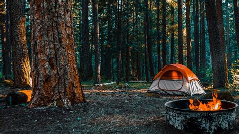 Unleash Your Inner Adventurer: Embark on a Thrilling Camping Adventure at Shenandoah National Park