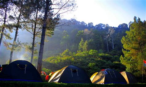 Camping Dan Hiking Di Pegunungan