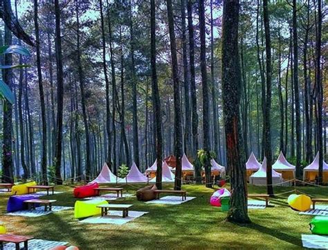 Camping di Orchid Forest Cikole in Indonesia