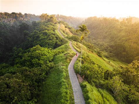 Campuhan Ridge Walk Ubud