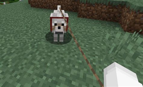 Can Baby Dogs Be Leashed in Minecraft?