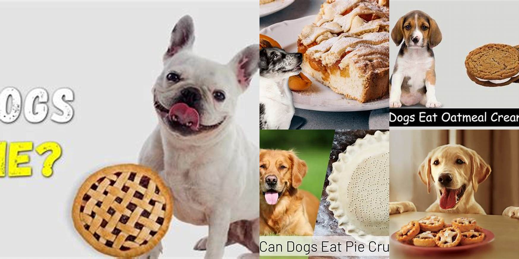 Can Dogs Eat Pies