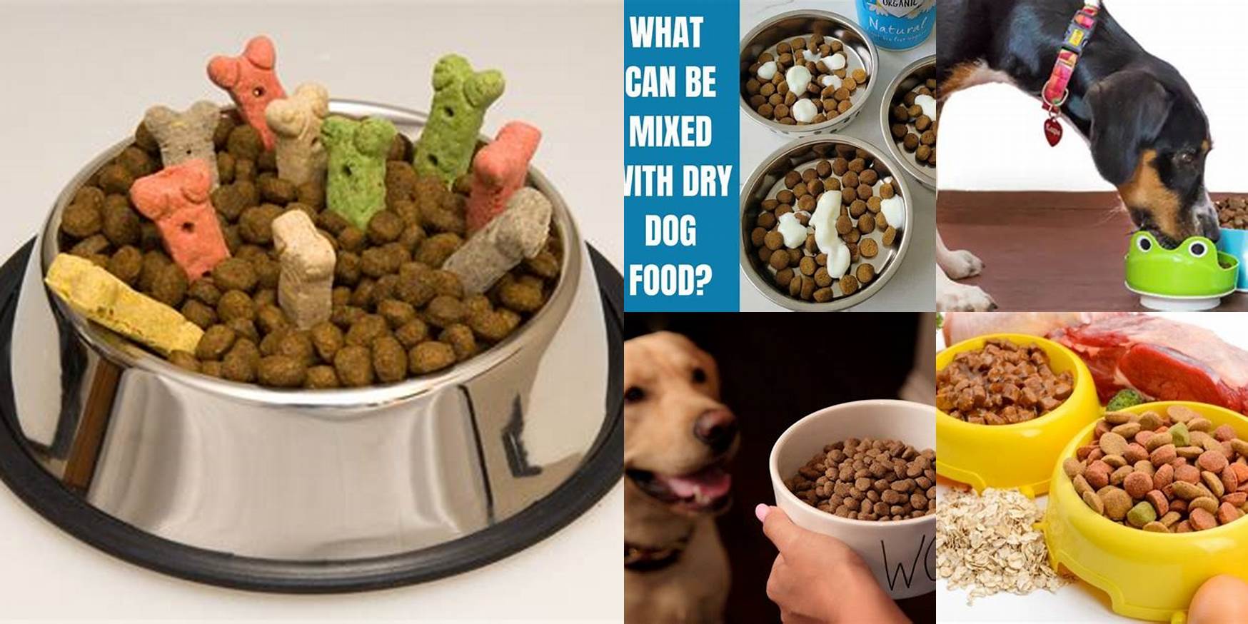 Can I Mix Two Dry Dog Foods Together