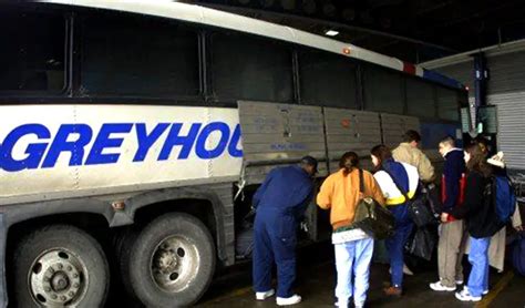 Can I Travel on Greyhound Without an ID?