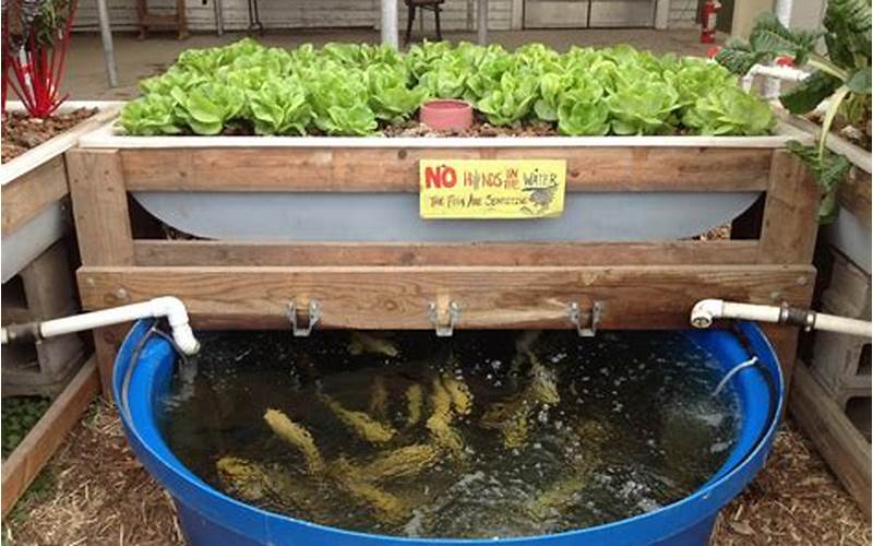 can pex be used for aquaponics