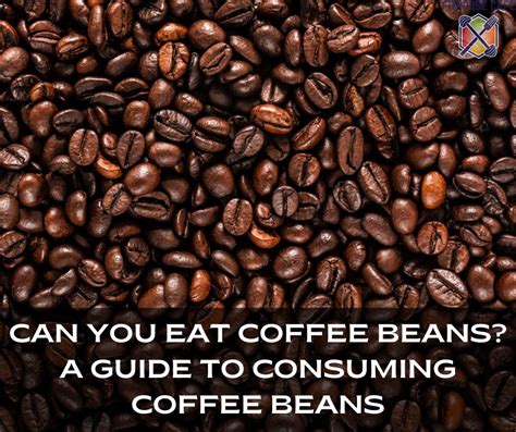 can you eat coffee beans reddit Lorean Huddleston