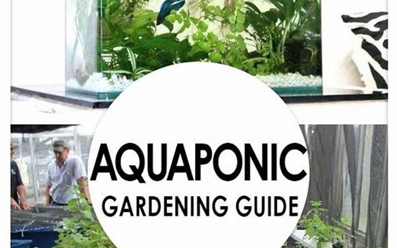 can you grow ginseng in aquaponics