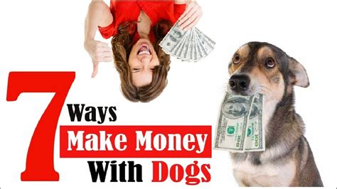 Can You Make Money With a Therapy Dog?