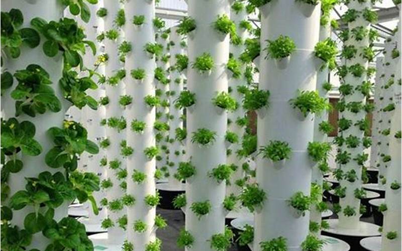 can you use both aeroponics and aquaponics together