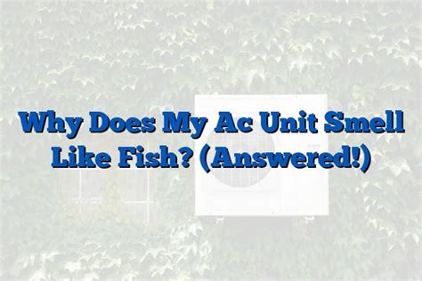 Can a AC Unit Smell Like Fish?