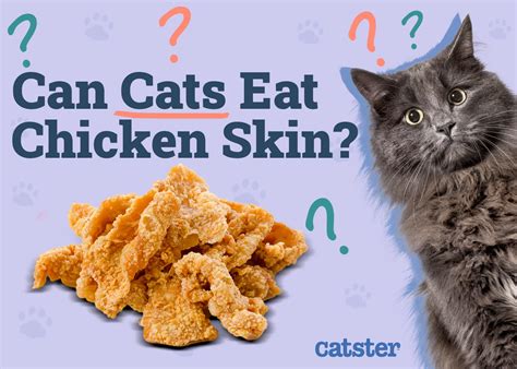 Fur-tivating Feline Facts: Discover Whether Chicken Skin is Safe for Your Purr-fect Pal to Feast On