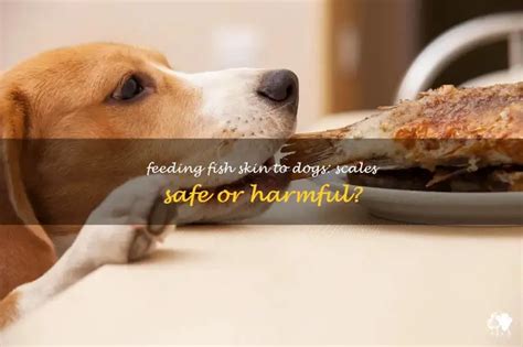 Scaling the Truth: Can Fido Feast on Fish Skin with Scales? - A Comprehensive Guide