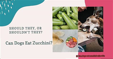Unleashing the Truth: Can Your Canine Companion Savour the Scrumptious Zucchini Skin?