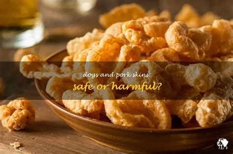 Unleashing the Truth: Canine Consumption of Pork Skins - A Revealing Guide for Pet Owners