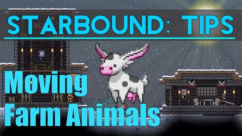 Can I Raise Farm Animals In My Ship Starbound
