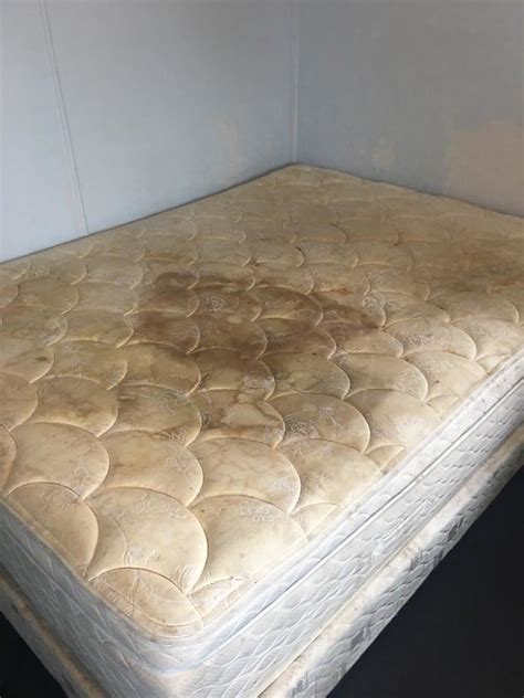 Can Mold Spread From One Bed Foam