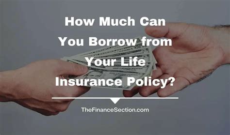 Can You Borrow Money From State Farm Life Insurance