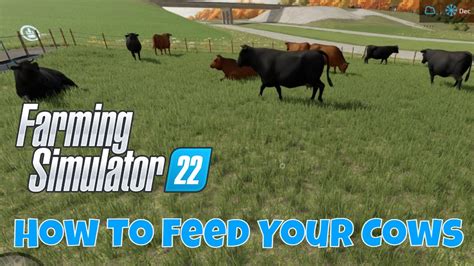 Can You Buy Animal Feed In Farming Sim 17