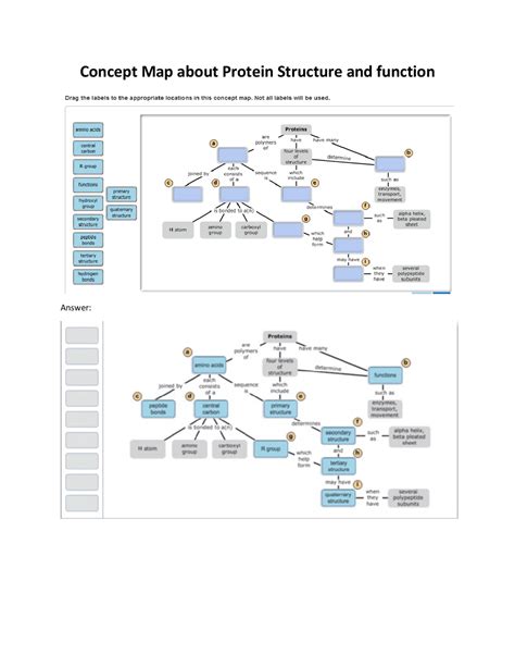 Can You Complete This Concept Map About Protein Structure And Function