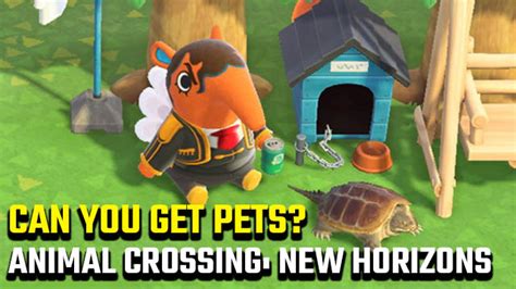 Discover The Possibility of Having Pets in Animal Crossing: A Comprehensive Guide