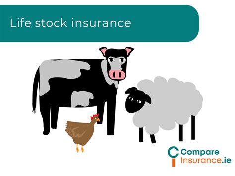 Can You Insure Farm Animals