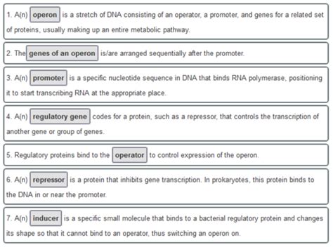 Master the Genetic Jargon: Can You Outmatch the Operon Terminology to Their Meanings?