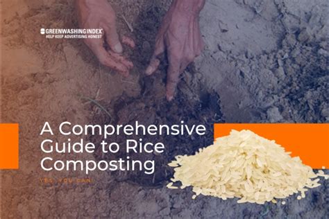 Can You Put Rice In Compost