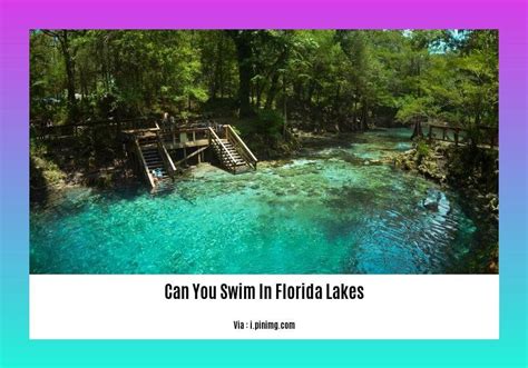 Can You Swim In Florida In February