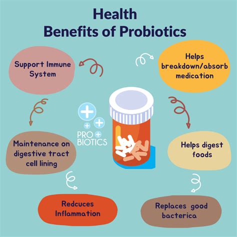 Can You Take Probiotics With Magnesium