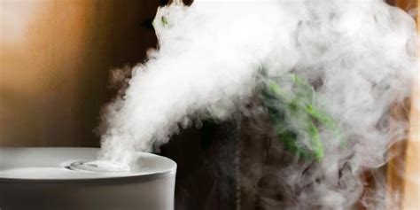 Can You Use Boiled Water In A Humidifier