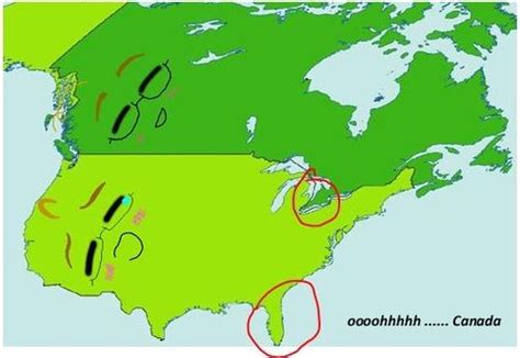 Want to know how to curse like a proper American? Have a look at these