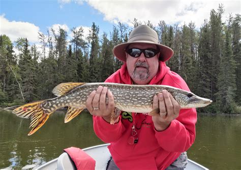 Canada fly-in fishing trips conclusion