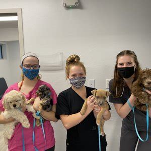 Trusted and Compassionate Care for Your Furry Friends: Canadian Valley Animal Clinic