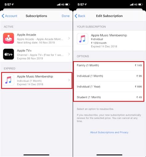 Cancel App Subscription in iOS 13 and iPadOS 13