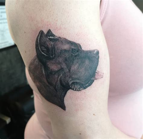 Cane Corso Tattoo: Unique And Meaningful Way To Show Your Love For Your
Dog