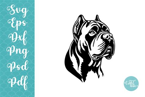 Celebrate The Majestic Cane Corso with Our Free SVG Collection - Unleash Your Creativity In Style!