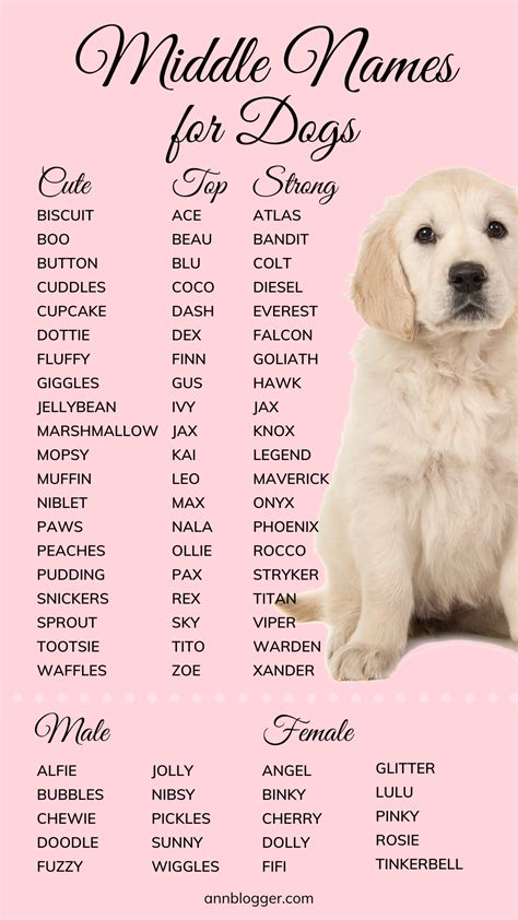 Canine Names