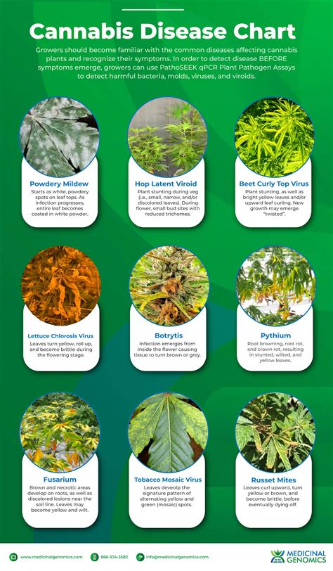 Cannabis Leaf Problem Chart