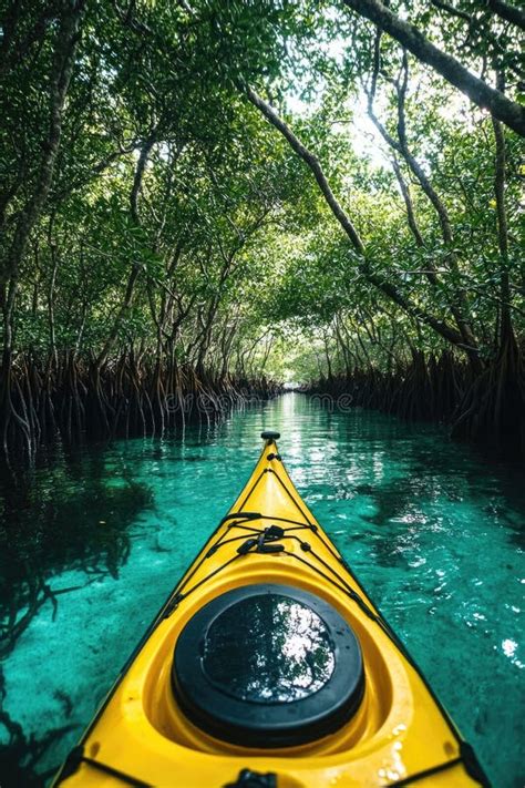 Canoeing through Mangroves