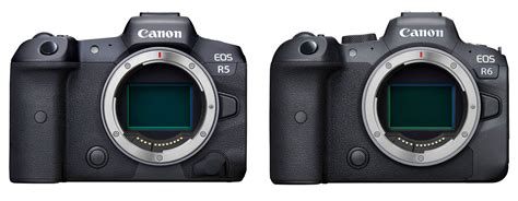 Canon EOS R5 vs EOS R6: sensor and resolution