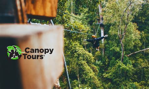 Canopy Tour Experience