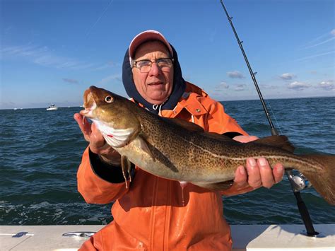 Cape Cod Canal Fishing Report: Expert Tips
