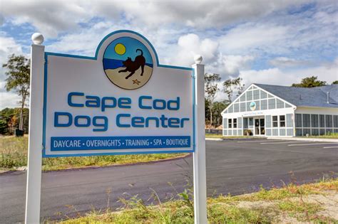 Cape Cod Dog Boarding