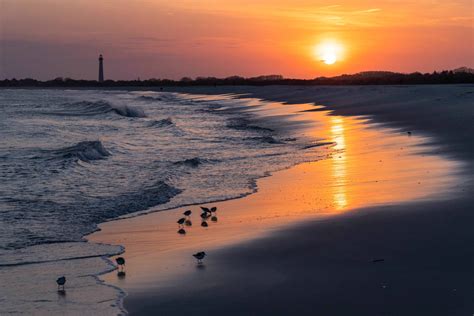 Cape May Sunset Dolphin Cruise Review: Is It Worth It?