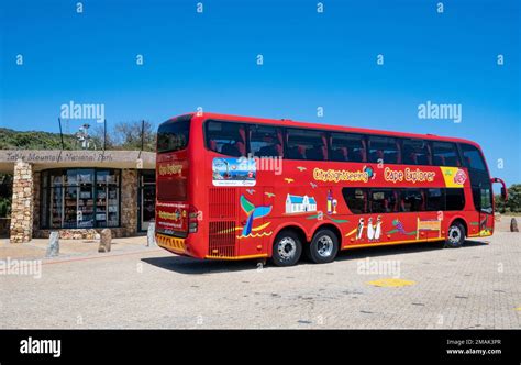 Cape Point Tour Bus