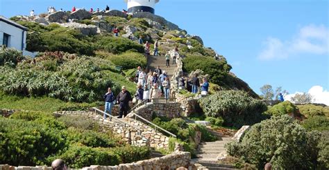 Cape Point Tour Expectations